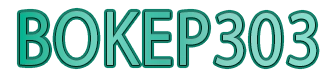 BOKEP303